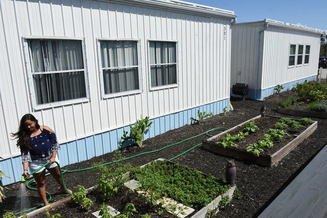 Junior Marissa Roach waters a garden in front of temporary classroom buildings. Marco Island Academy is embarking on a capital campaign to raise millions of dollars and give the school a permanent home, after years of operating in prefab modules.