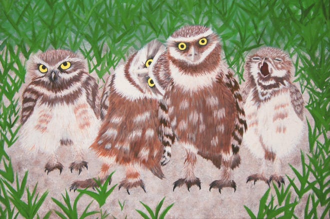 City of Marco Island's beautification advisory committee and the Marco Island Center for the Arts announced Aug. 27, 2020 the artworks selected for the "creative wraps" public art project to cover the island's utility boxes. Debra Reed's burrowing owls was selected out of 190 pieces of artwork.
