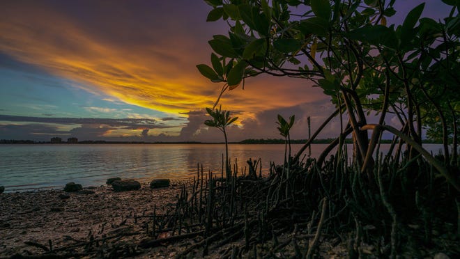 Joey Waves photographed this sky and mangroves on Marco. Marco Islanders employ various methods to get recreation during the pandemic, and a lot of them involve enjoying the natural beauty all around.