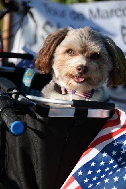 Tour co-sponsor MIchael Passero brings a passenger, Luke, his Havanese. The 11th Tour de Marco saw hundreds of cyclists riding 15 or 30 miles around the island on Sunday morning to benefit the YMCA.