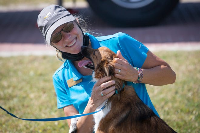 Lisa Antunes, the Paw Around Town coordinator, checks in " Jackson Murry", a dog owned by Norman Tabor,  Wednesday, April 7, 2021, at a mobile veterinarian clinic run by The Humane Society of Naples in Everglades City.