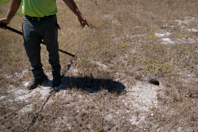 Alfredo Fermin points to a burrow where iguanas lay their eggs on Marco Island on Thursday, April 8, 2021.